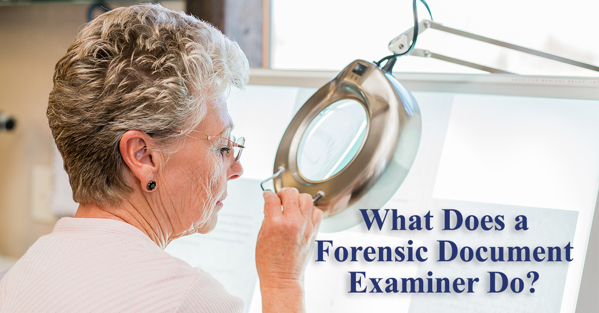 What Does A Forensic Document Examiner Do Learn More Here 